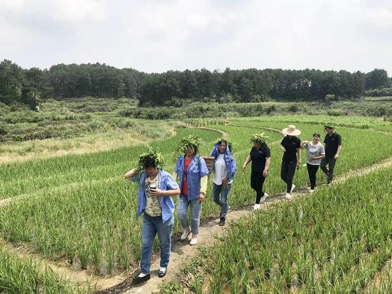 清清粽香悠悠端阳&mdash;&mdash;英国上市公司365子公司三海兰陵职工庆端午团建下乡活动